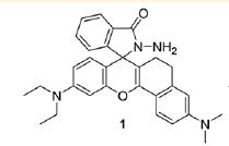 Peroxynitrite anion fluorescent probe