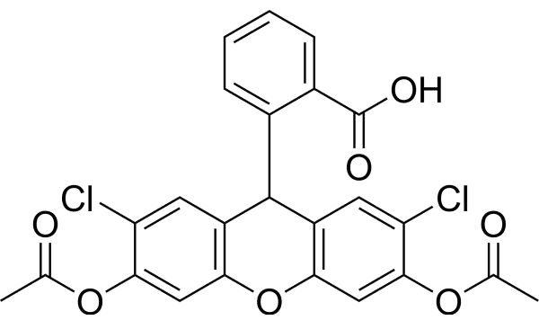 Reactive oxygen fluorescence probe (DCFH-DA)