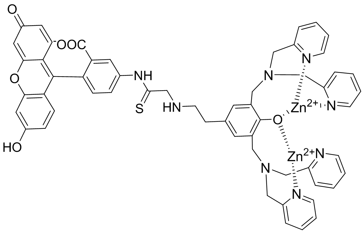 Apoptosis-targeting fluorescent probe ZnDPA-FITC