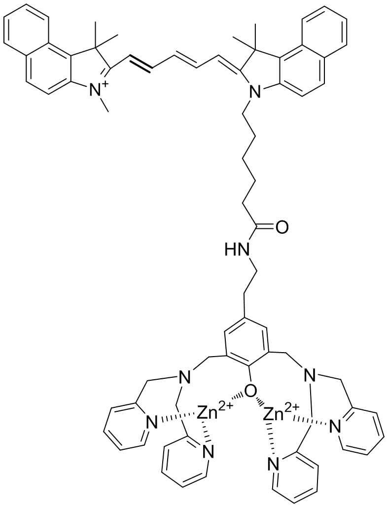 Apoptosis-targeting fluorescent probe ZnDPA-Cy5.5