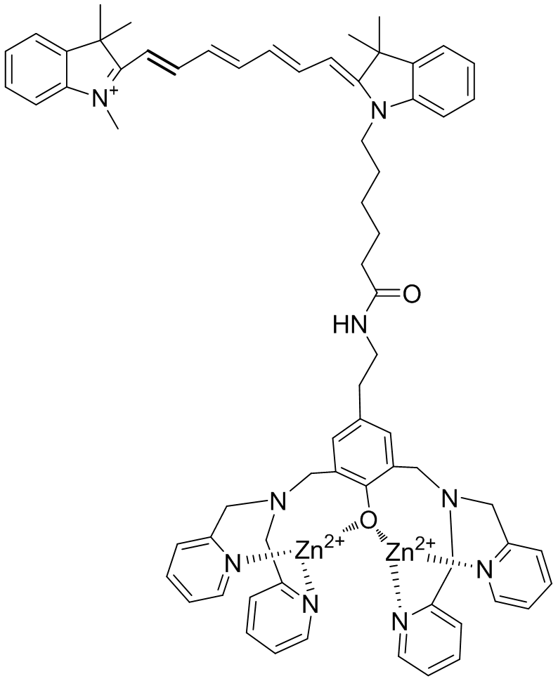 Apoptosis-targeting fluorescent probe ZnDPA-7