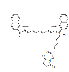  Cyanine 7.5-NHS ester