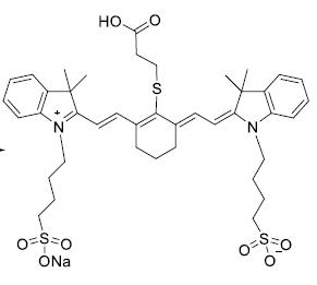 Cyanine 7-SO3H bis(sulphonic acid)