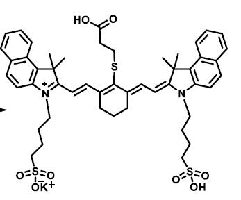 Cyanine 7.5-SO3H bis(sulphonic acid)